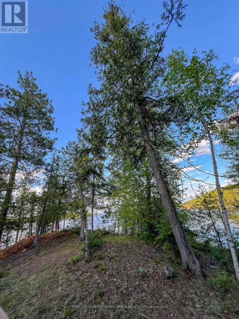 11 Hay Island E, Kenora, photo 4