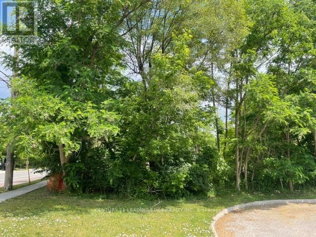 49 Main St. South Unionville — photo 8 of 10