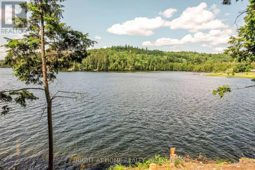 592 Moccasin Lake Road — photo 18 of 28