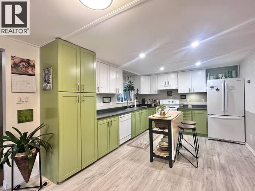 310 MOUNTAIN VIEW ROAD, McBride, photo 5