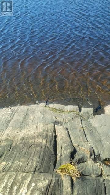 24 Severn River, Muskoka Lakes, photo 5