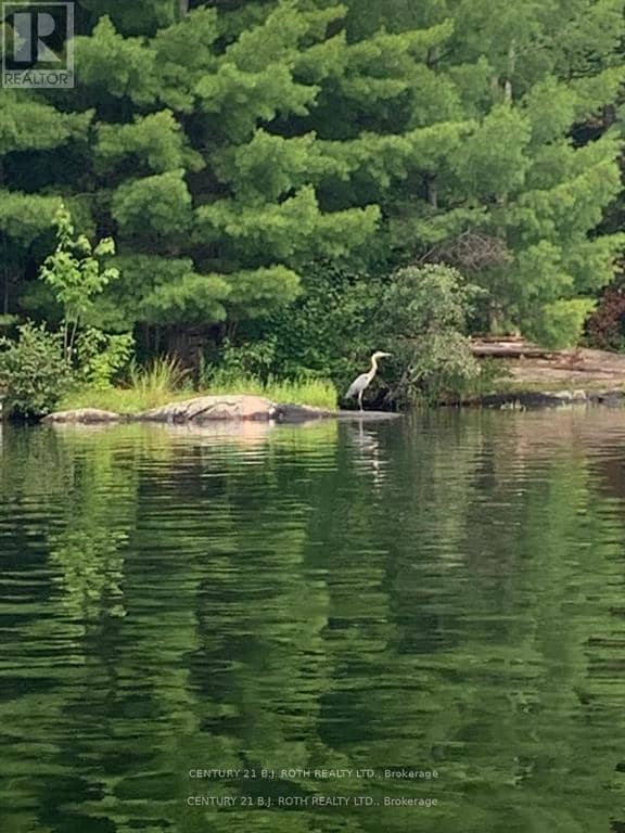 24 Severn River, Muskoka Lakes, photo 8