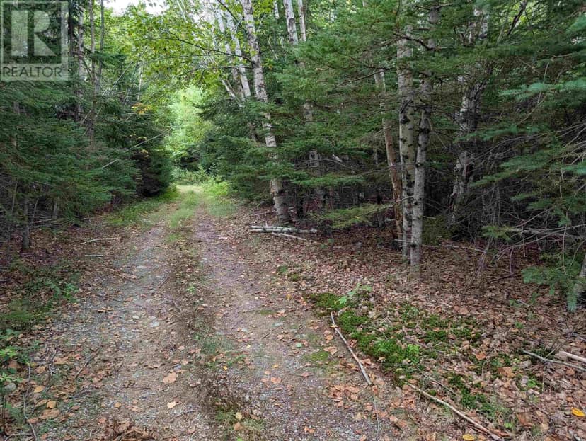 Lot 2 Highway 316 — photo 2 of 23