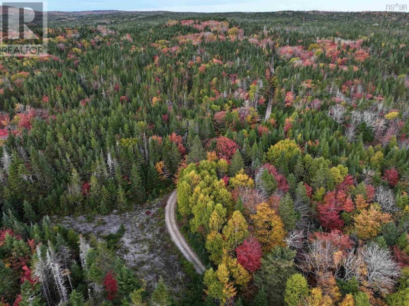 Lot 2 Highway 316 — photo 11 of 23