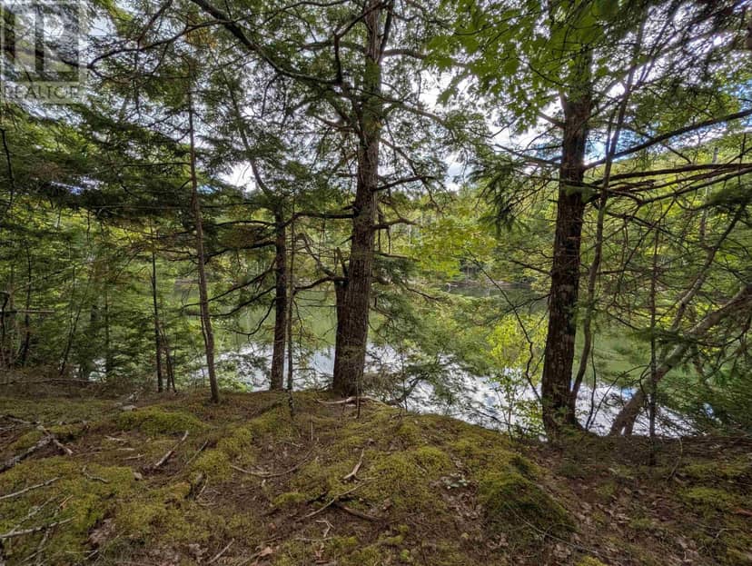 Lot 2 Highway 316 — photo 4 of 23