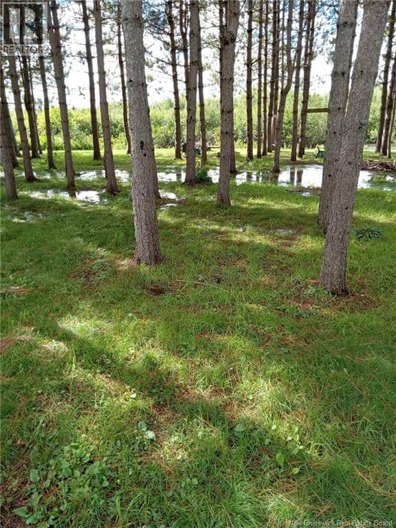 1.84 acres Route 135 — photo 11 of 12