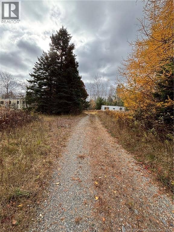 682 Boyd Road, Elmsville, photo 3