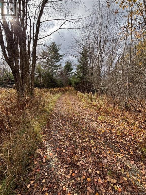 682 Boyd Road, Elmsville, photo 4