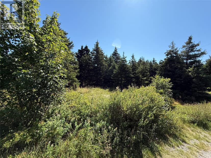 35-43 Ridge Road, Brigus, photo 3