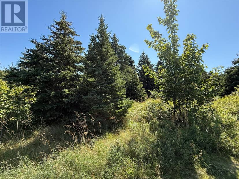 35-43 Ridge Road, Brigus, photo 4