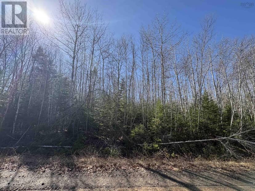 Bennie Muckle - 30 Acres Road — photo 11 of 24