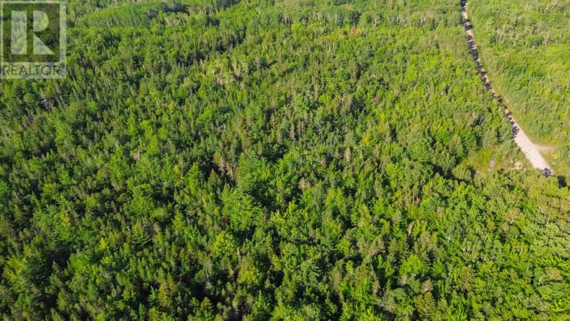 Bennie Muckle - 30 Acres Road — photo 19 of 24