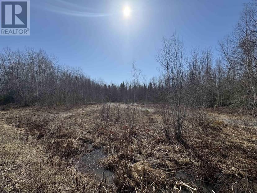 Bennie Muckle - 30 Acres Road — photo 9 of 24