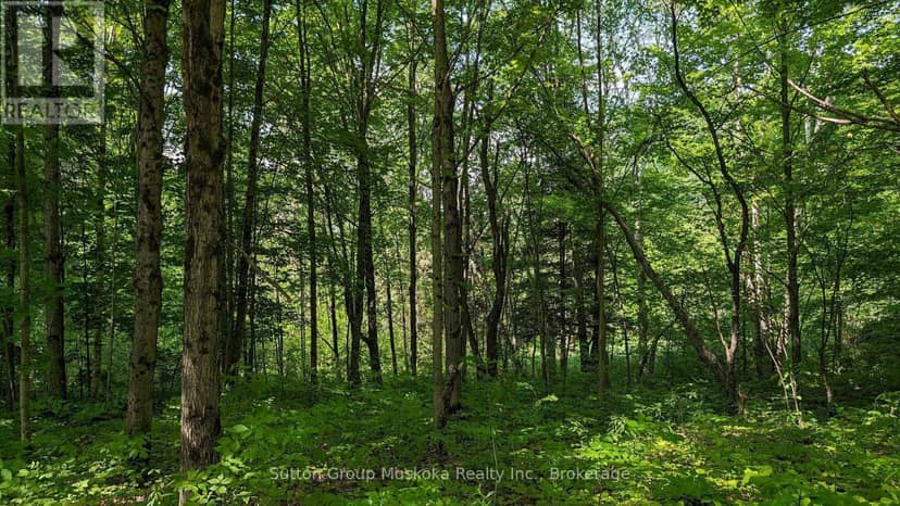 Lot 2 Tally-Ho Winter Park Road, Lake of Bays, photo 4