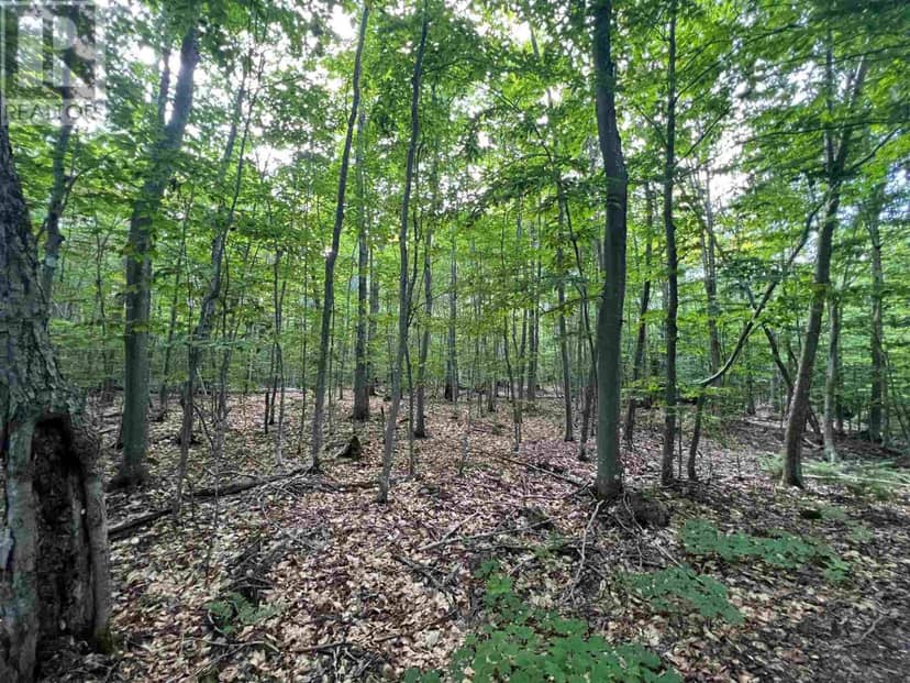 Lot 15 Gordon RD — photo 7 of 9