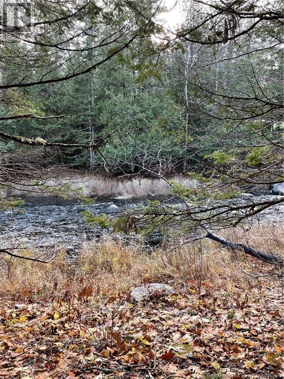 519 Route 725 — photo 1 of 4