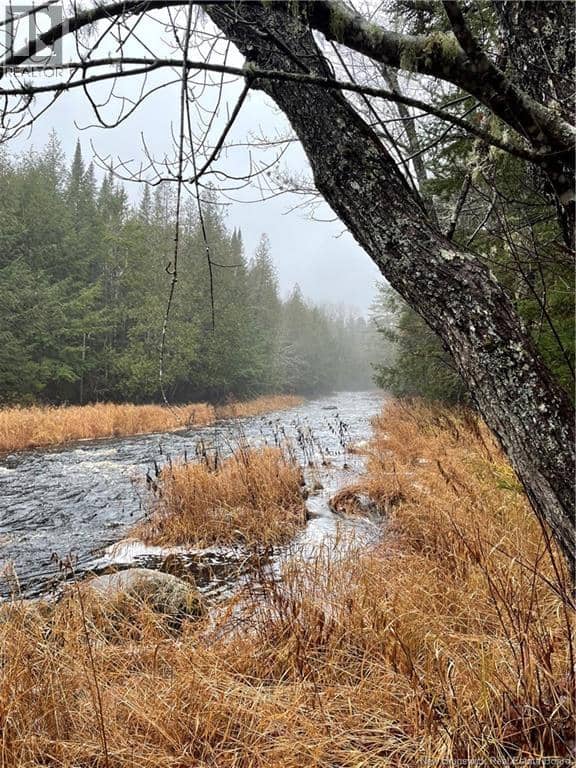 519 Route 725 — photo 2 of 4