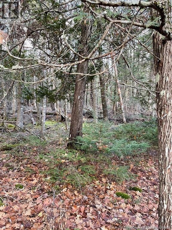 519 Route 725 — photo 3 of 4