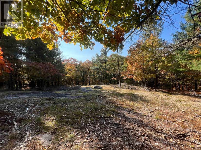 13 Ridgeway Drive, Carling, photo 2