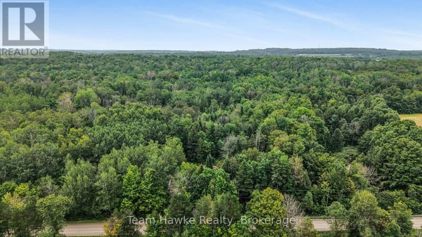 5493 McMann Side Road, Tay, photo 4