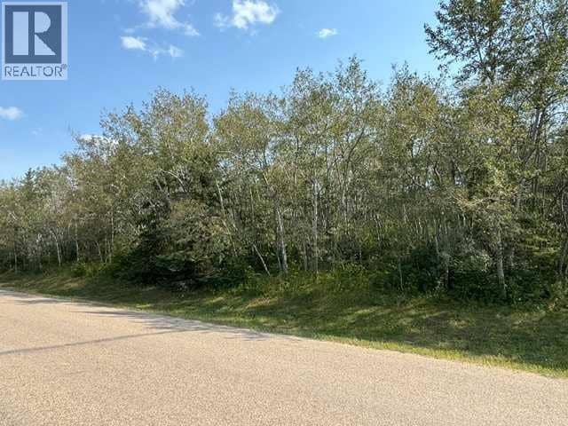 5260 38 Street, Ponoka, photo 4
