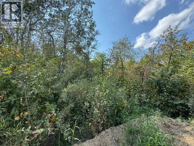 5260 38 Street — photo 17 of 21