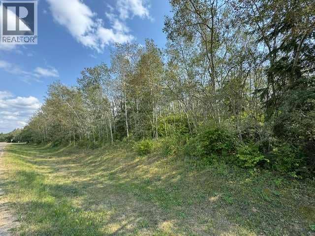 5260 38 Street, Ponoka, photo 8