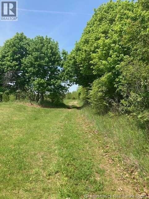 PID 40120263 King George Highway — photo 13 of 40