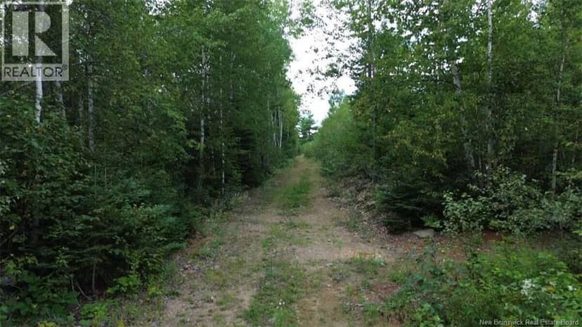PID 40120263 King George Highway — photo 30 of 40