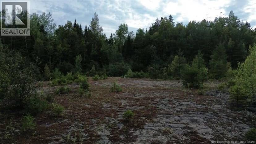 PID 40120263 King George Highway — photo 35 of 40