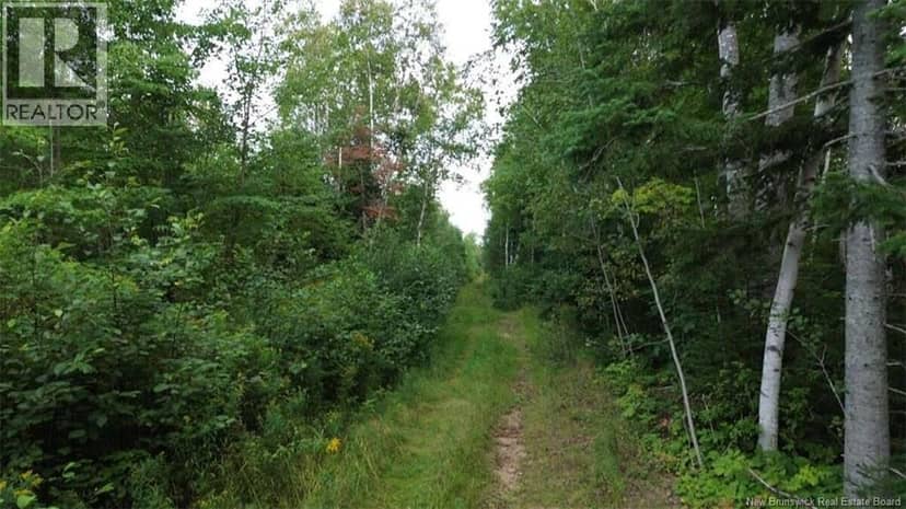 PID 40120263 King George Highway — photo 32 of 40