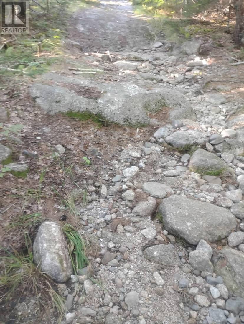 Lot 17 Tupper Lake — photo 12 of 15