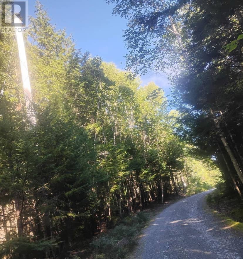 Lot 17 Tupper Lake — photo 7 of 15