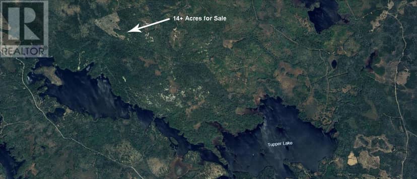 Lot 17 Tupper Lake — photo 4 of 15