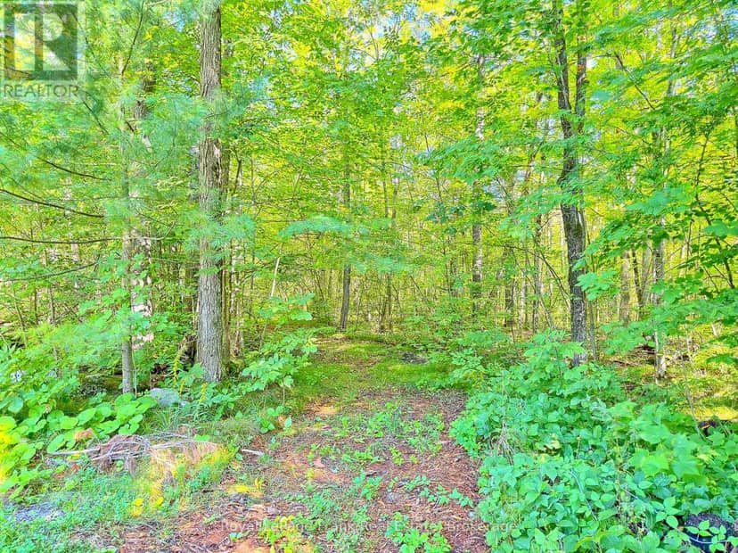 858 Mill Road — photo 40 of 40