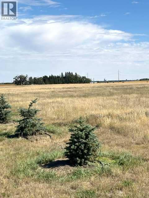 Near Coalhurst RR223, Coalhurst, photo 3
