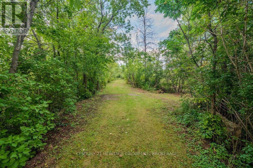 5243 Battersea Road — photo 9 of 23