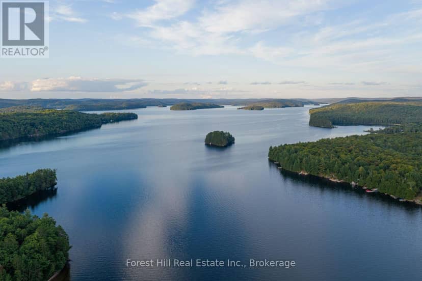 1155 Wolf Circle, Algonquin Highlands, photo 5