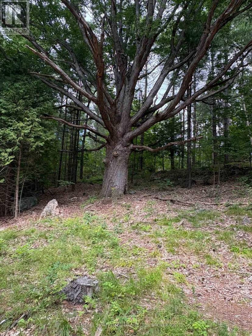 0 Anderson Road, Frontenac, photo 8