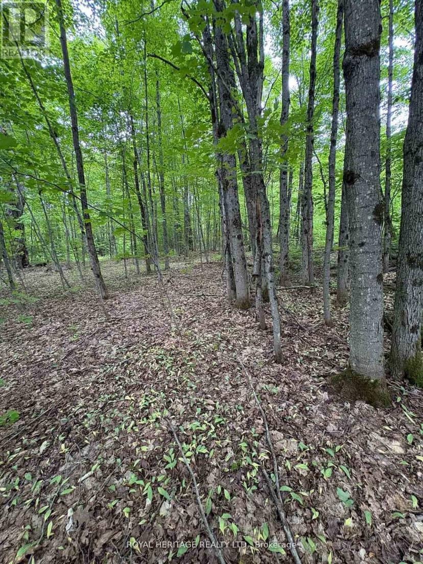 1043 Lawrence Pit Road — photo 3 of 6