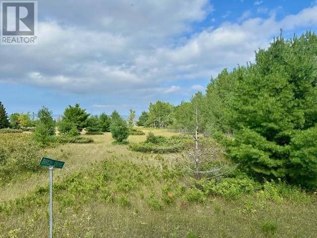 . Lt 72 Pl S154; Billings, Kagawong, photo 8