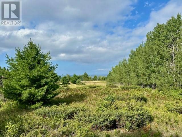 . Lt 72 Pl S154; Billings, Kagawong, photo 7