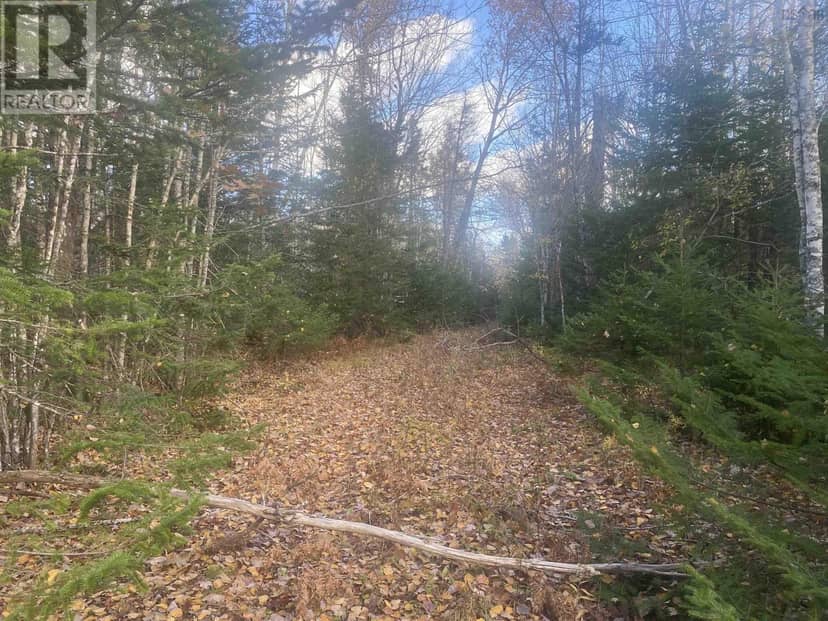 LOT 2 248 Highlands Road — photo 1 of 5