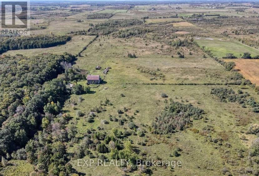 1049 Sandringham Road, Kawartha Lakes, photo 3