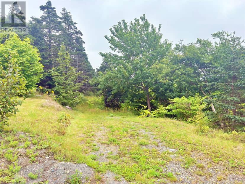 1288 Main Road — photo 18 of 18