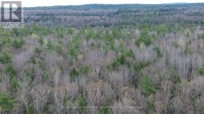0 Crystal Lake Road — photo 14 of 19