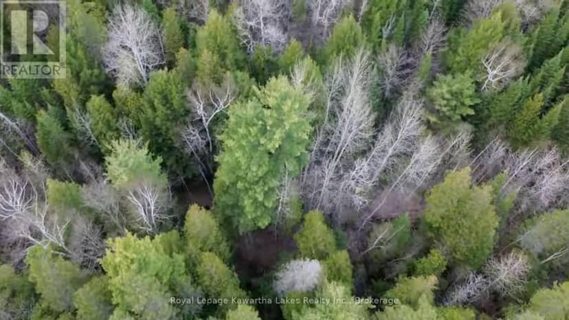 0 Crystal Lake Road — photo 15 of 19
