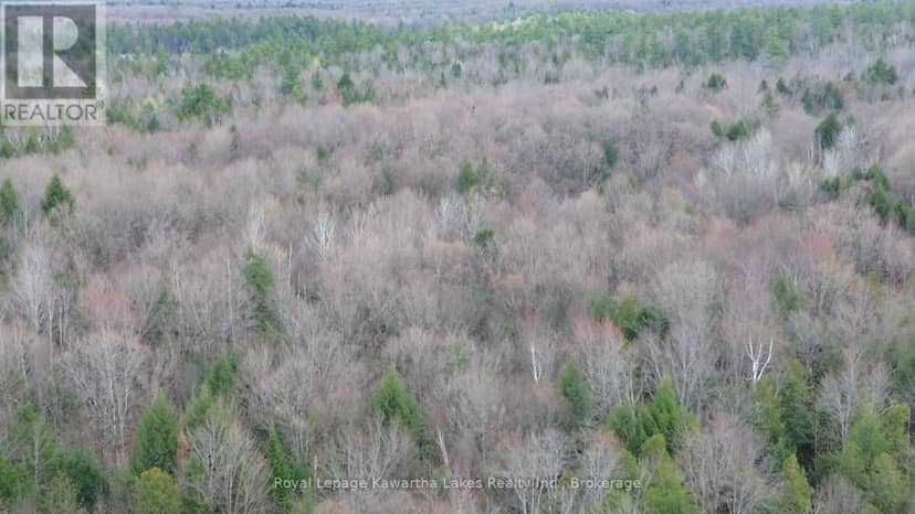 0 Crystal Lake Road — photo 16 of 19