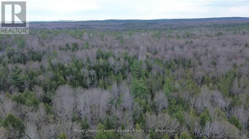 0 Crystal Lake Road — photo 2 of 19