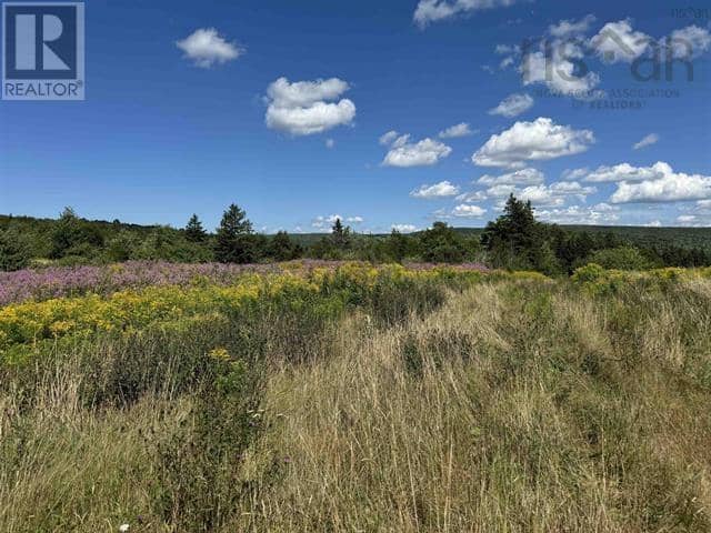 5907 395 Highway — photo 5 of 21